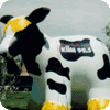 Cow inflatables - 30 ft. cow shape custom cold-air advertising balloon